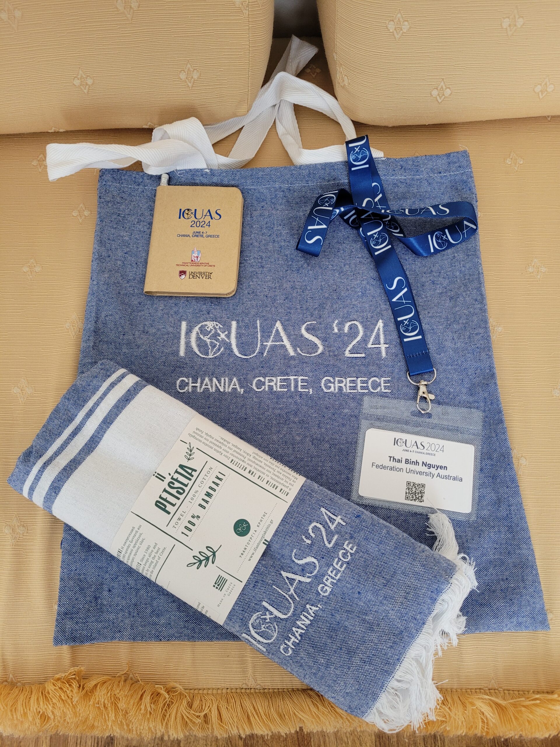 ICUAS 2024 - photo 3